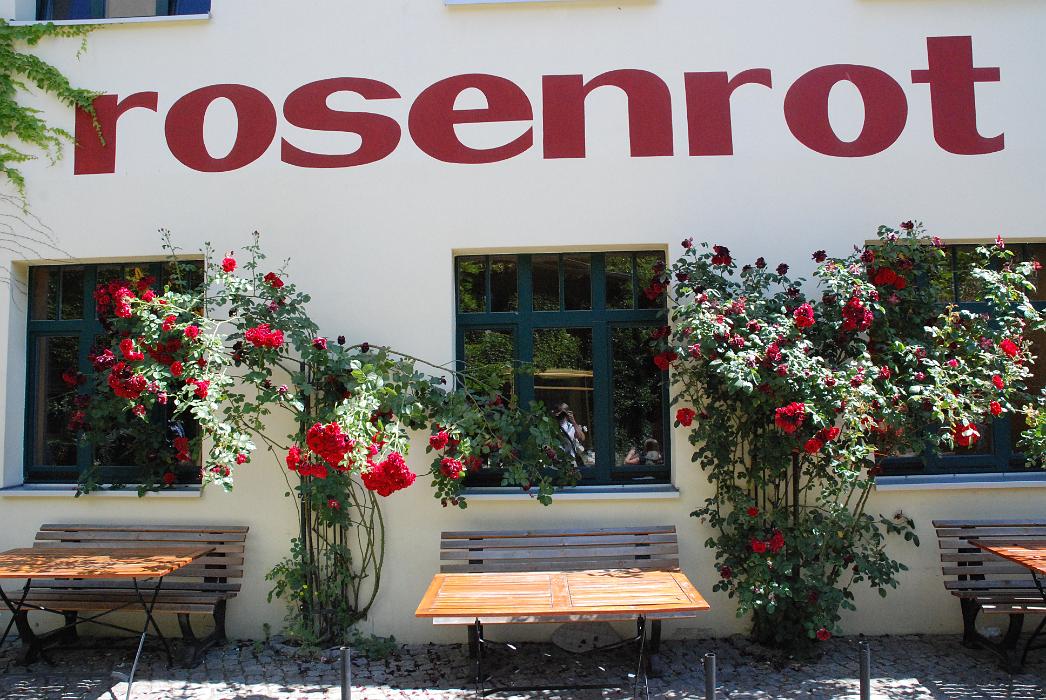 DSC_0820.JPG - Terry Brewer Walking Tour.