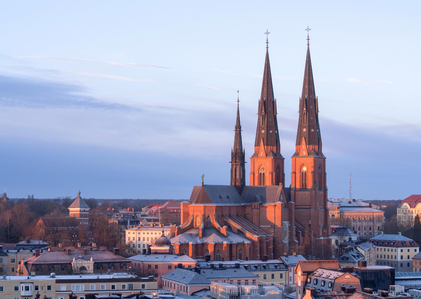 Uppsala Cathedral in February m