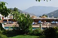 DSC_0435