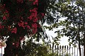 DSC_0167