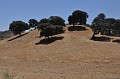 DSC_0203
