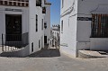 DSC_0219