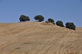 DSC_0298
