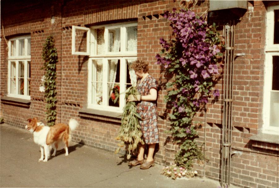 lassie mor perron klematis 1962