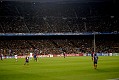 _DSC2036_dark