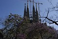 _DSC2050