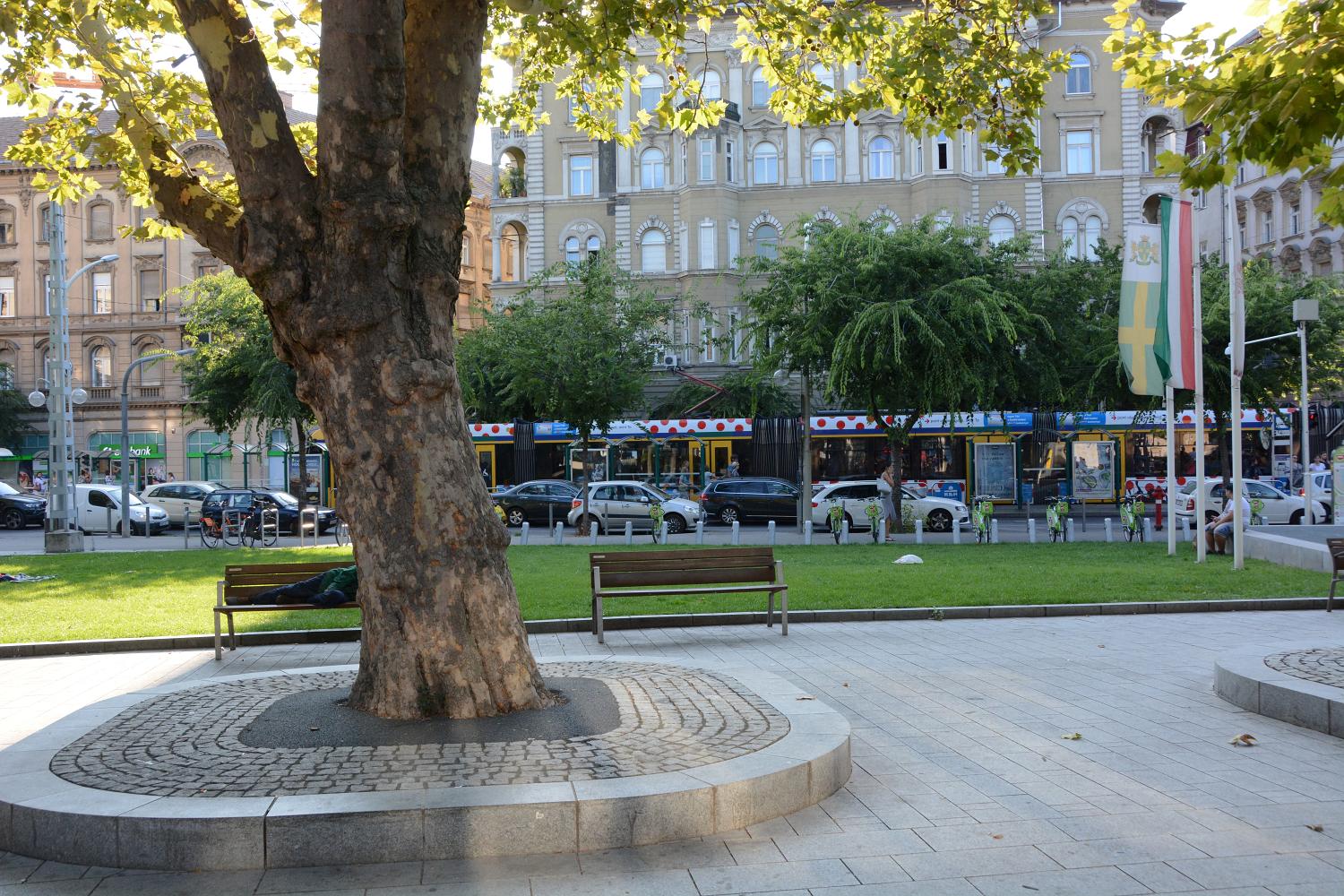 DSC 0090 m