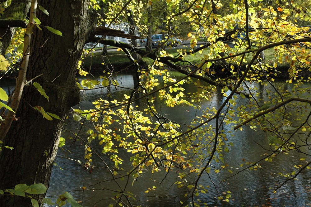 DSC_0030.JPG