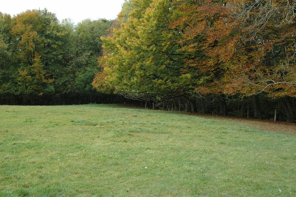 DSC_0035.JPG