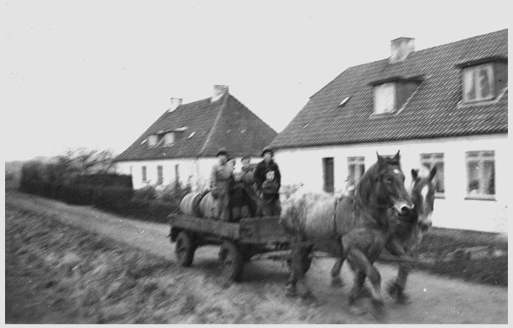 Ajle1954.jpg - Niels J�rgen ved t�mmerne 1954