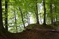 DSC_0223_l