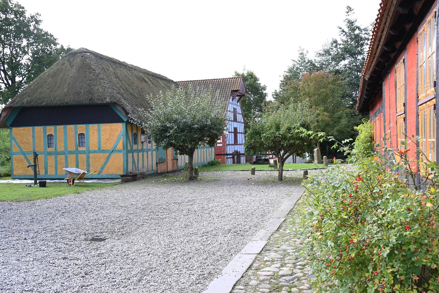 DSC 0081