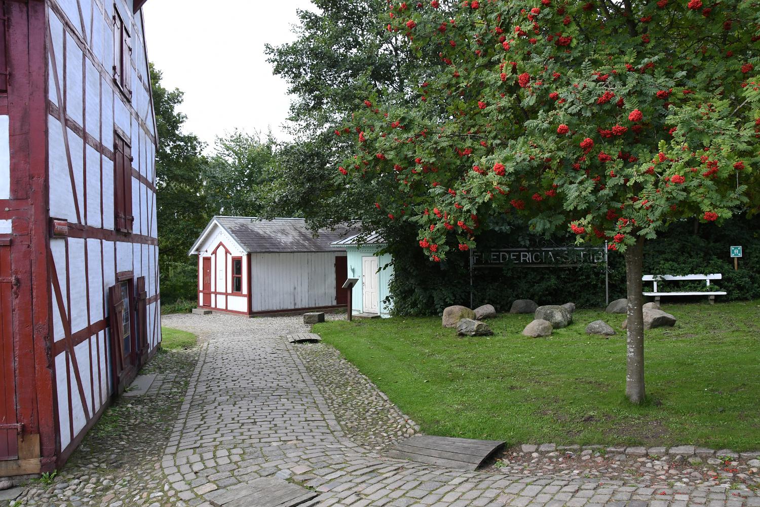 DSC 0084