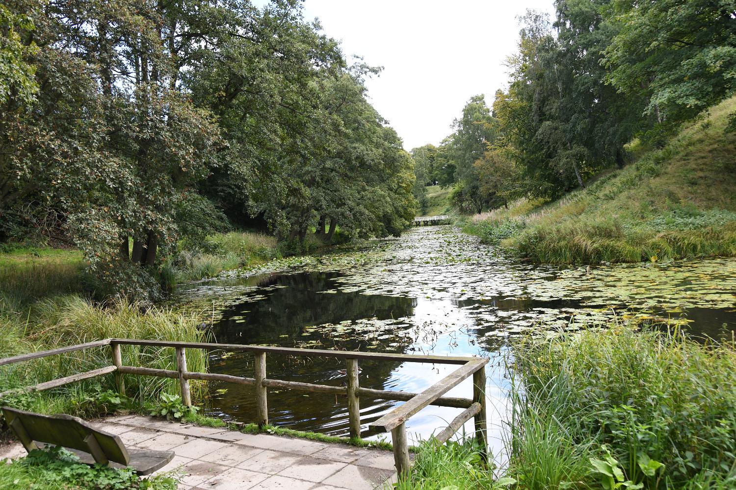 DSC 0090