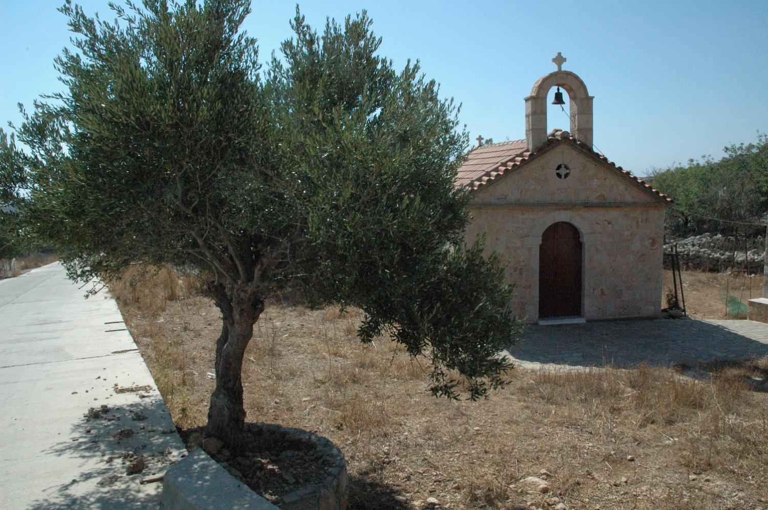 DSC 0050