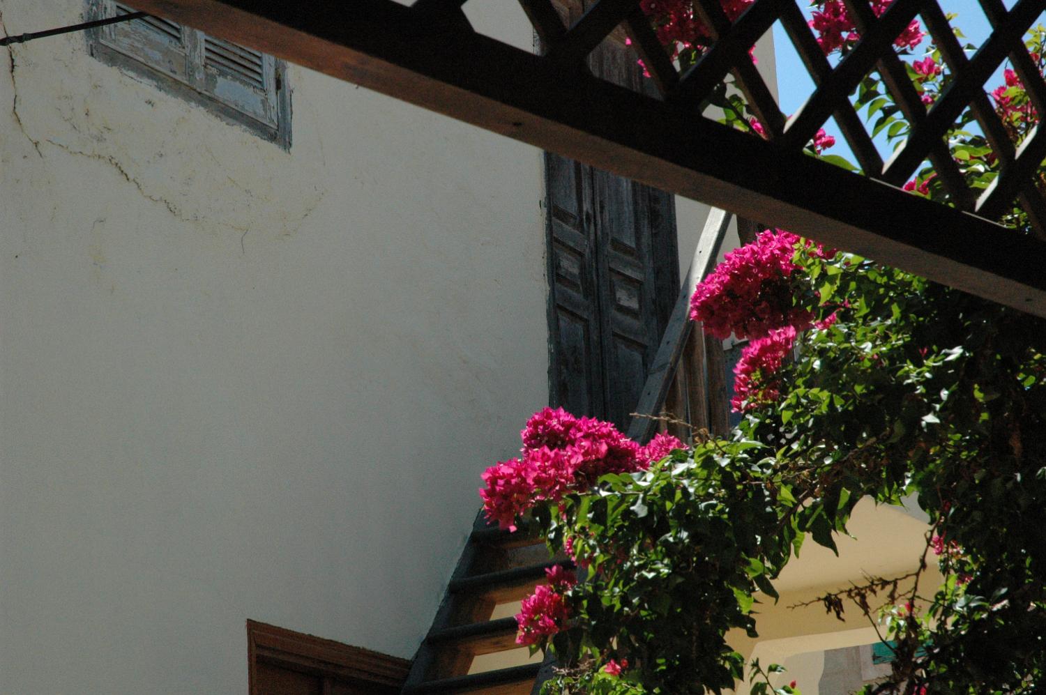 DSC 0070