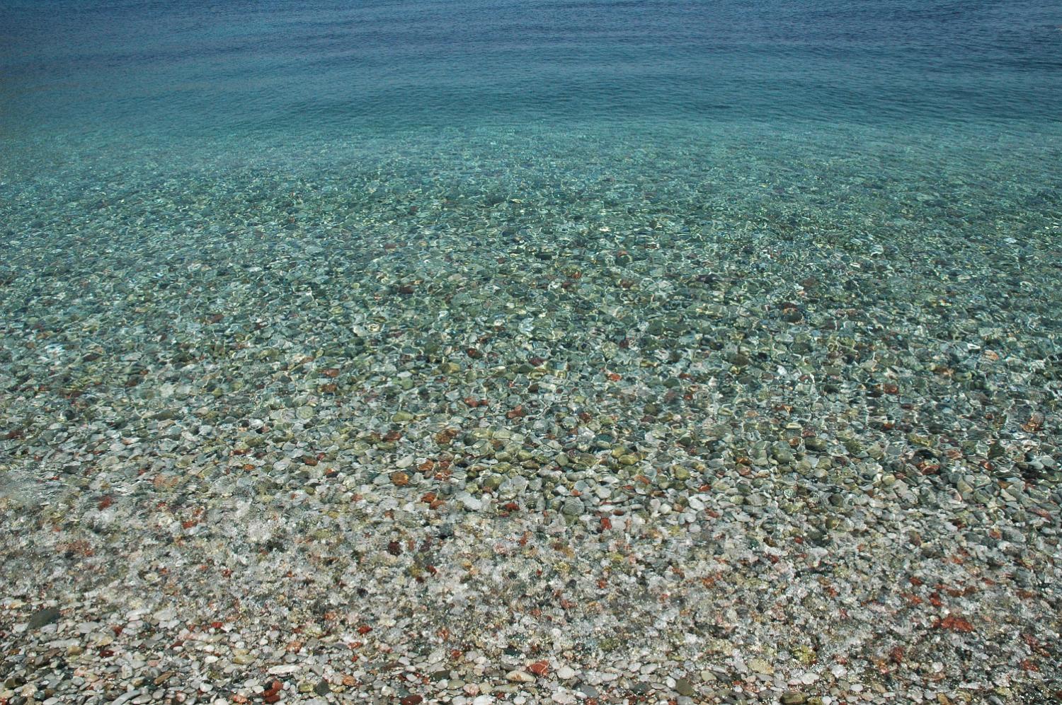 DSC 0121