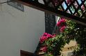 DSC 0070