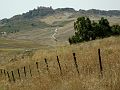 DSC_0172_cut