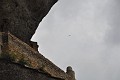 DSC_0187
