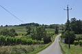 DSC_0311