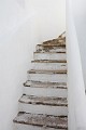 DSC_7762_ll
