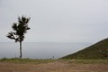 DSC_7858_l