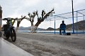DSC_7877_l