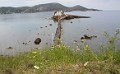 DSC_7890_lkc
