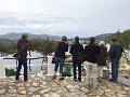 IMG_0959_l