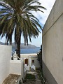IMG_0996_lk