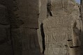 _DSC1597