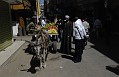 _DSC1663_edit