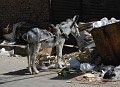 _DSC1666_edit