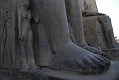 _DSC1695