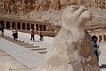 _DSC1742