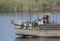 _DSC1848