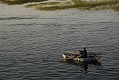 _DSC1862