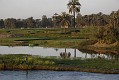 _DSC1863