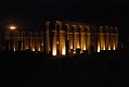_DSC1906