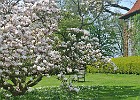 DSC 1044 ck