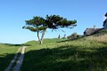 DSC_6185_k