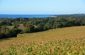 DSC_6272_mkf