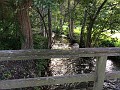 IMG_1218