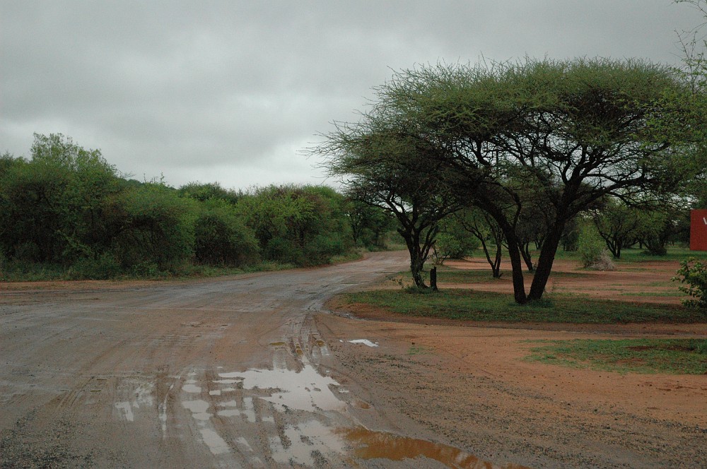 DSC_0130.JPG - Pilanesberg.