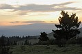 DSC_0252_d