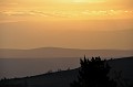 DSC_0254_d