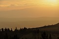 DSC_0257_d