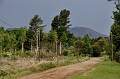 DSC_0342_d