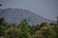 DSC_0343_d